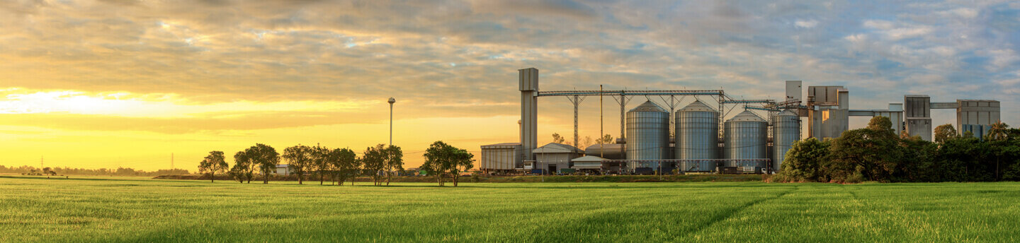 Landwirtschaftliche Siloanlage, umgeben von Feldern.