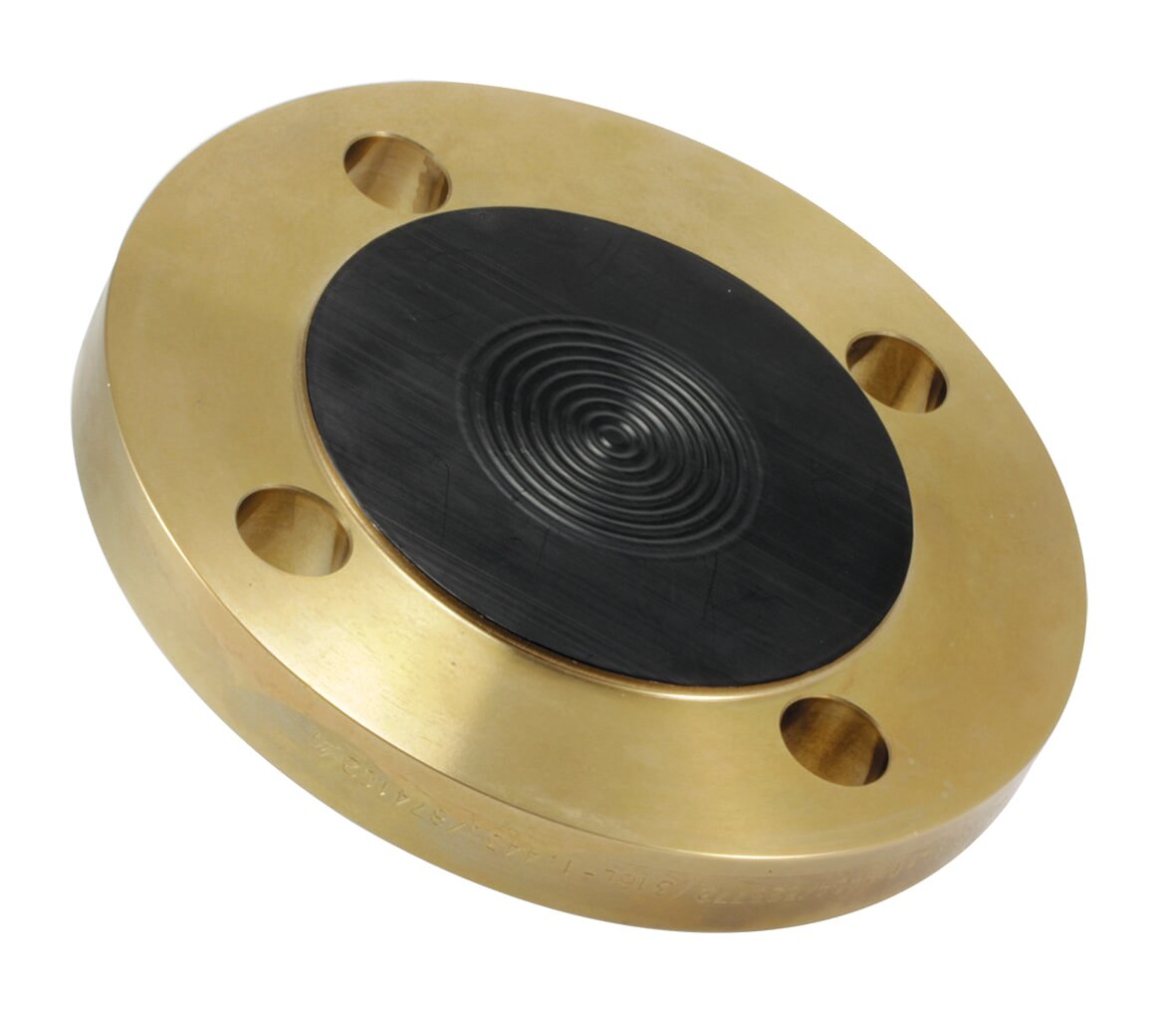 Flanschdruckmittler mit einer PTFE Beschichtung. Flanschdruckmittler mit einer PTFE Beschichtung.