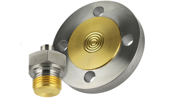 Flanged diaphragm seal and screw-in thread with a thin metal diaphragm.